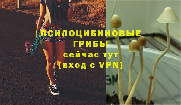 героин Абаза