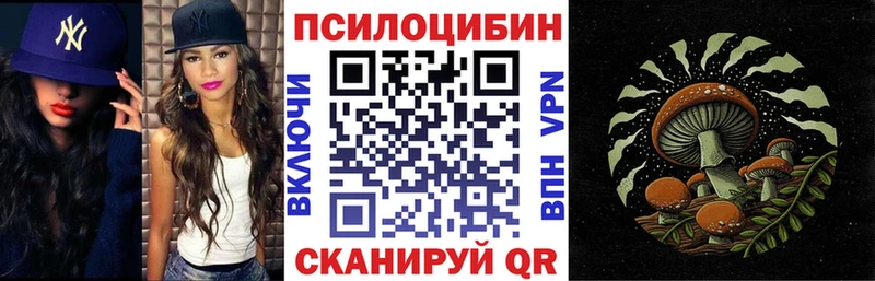 купить наркотики сайты  mega зеркало  Псилоцибиновые грибы Psilocybine cubensis  Мосальск 